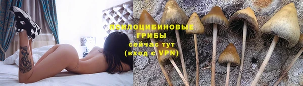 ALPHA PVP Заволжье