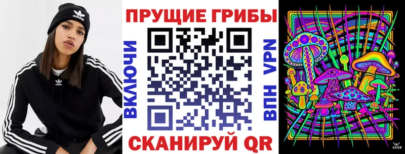 Купить закладки  Данков  Галлюциногенные грибы Psilocybe 